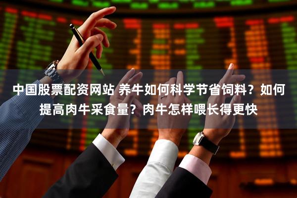 中国股票配资网站 养牛如何科学节省饲料？如何提高肉牛采食量？肉牛怎样喂长得更快