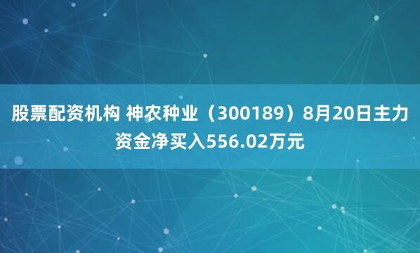 股票配资机构 神农种业（300189）8月20日主力资金净买入556.02万元