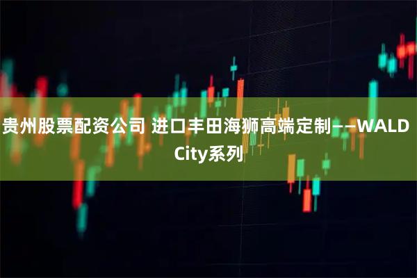 贵州股票配资公司 进口丰田海狮高端定制——WALD City系列