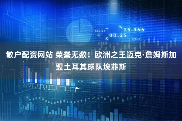 散户配资网站 荣誉无数！欧洲之王迈克·詹姆斯加盟土耳其球队埃菲斯